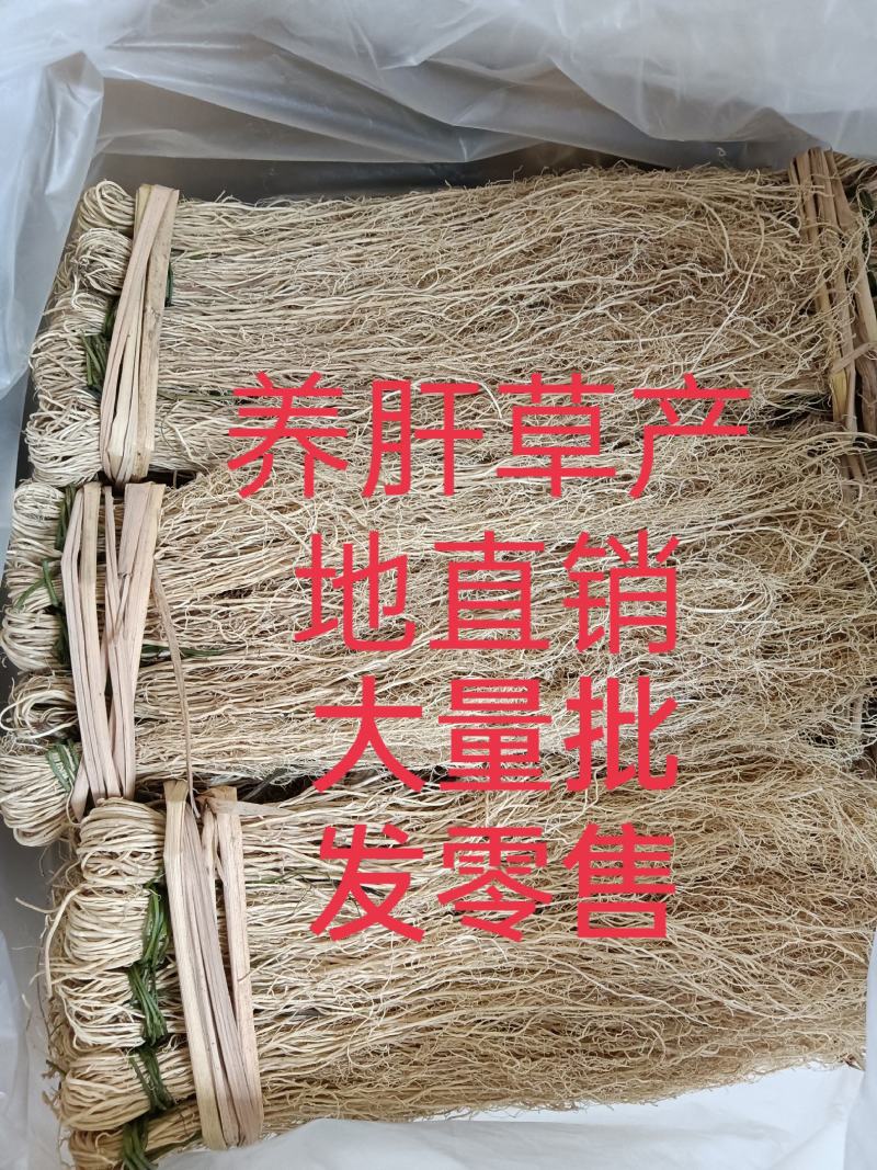 韶关养肝草种植户，质量干度保证，自种自加工厂长年现挖现卖