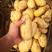 辽宁省锦州市精品个品种各种重量土豆（品质保障，信誉第一）