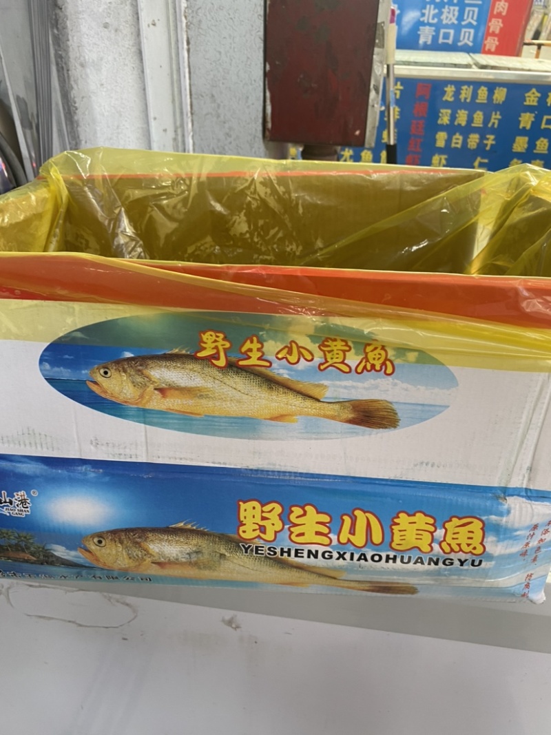2/4黄鱼，4/6黄鱼，工厂直销
