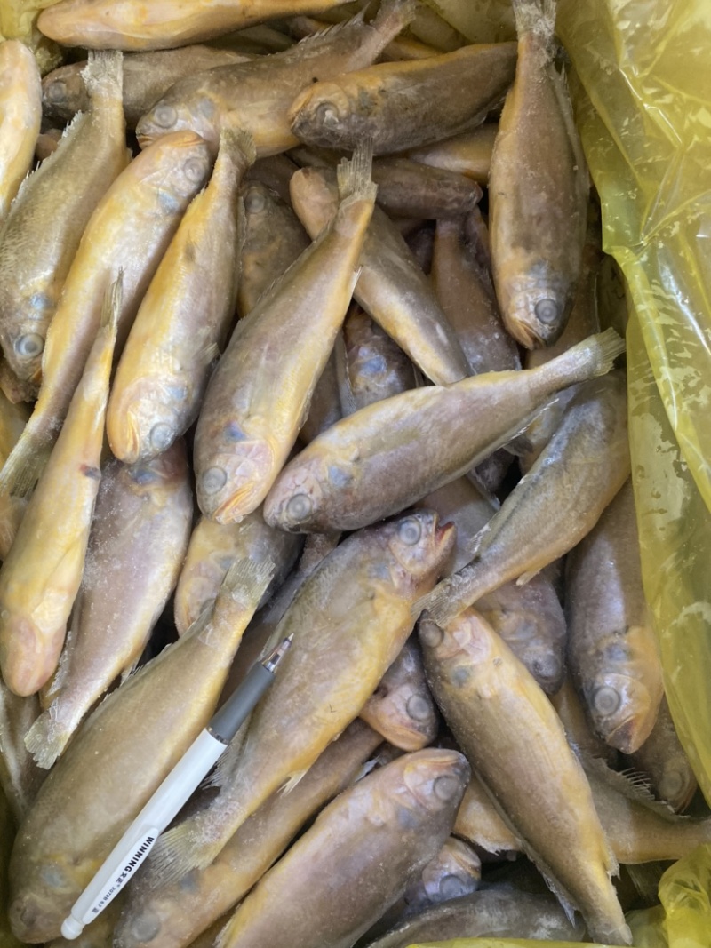 2/4黄鱼，4/6黄鱼，工厂直销