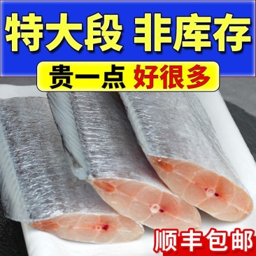 新鲜带鱼冷冻批发新鲜大段舟山带鱼大段5斤野生带鱼中顺丰