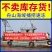 新鲜带鱼冷冻批发新鲜大段舟山带鱼大段5斤野生带鱼中顺丰