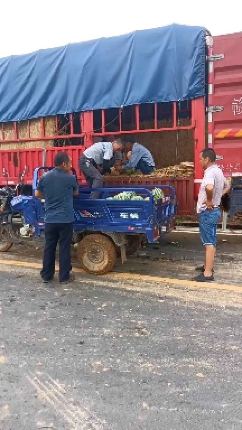 合作社自产自销