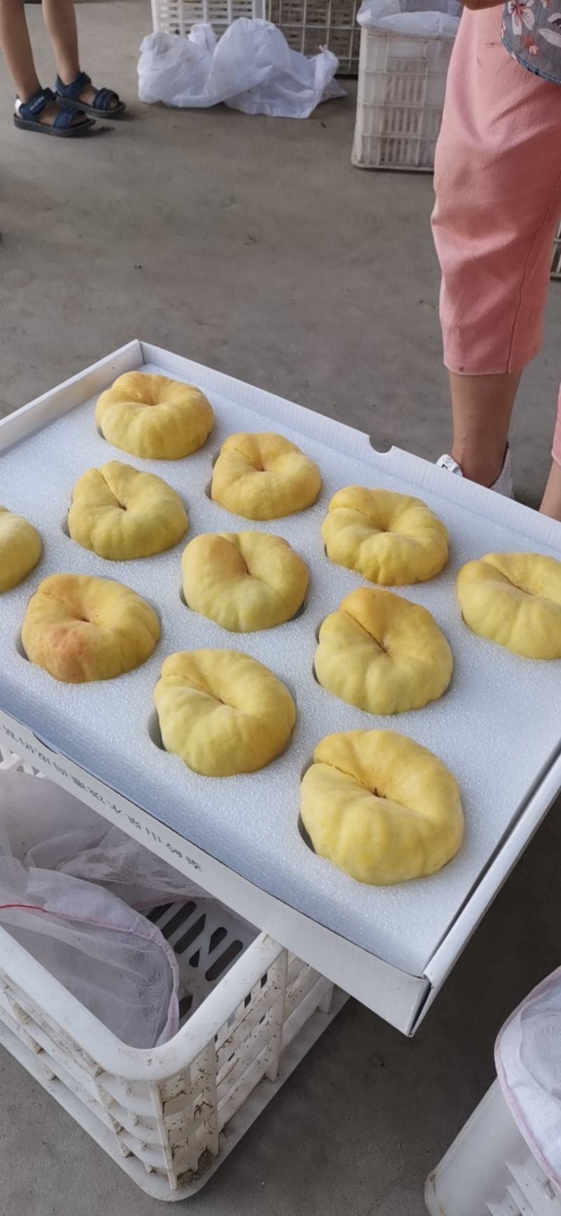 【精品】中蟠11号蟠桃产地直销物美价廉欢迎洽谈