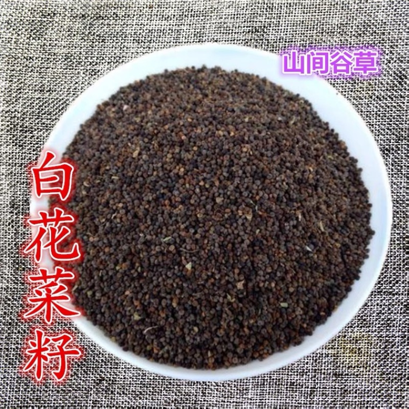 白花菜子白花菜籽臭花菜批发各种中药材
