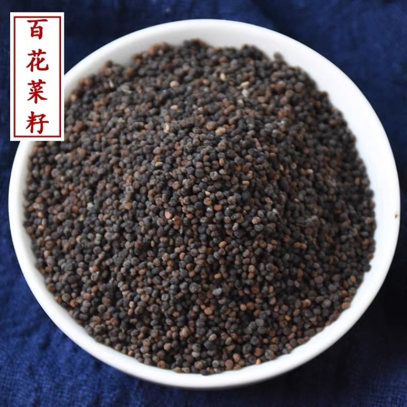 白花菜子白花菜籽臭花菜批发各种中药材