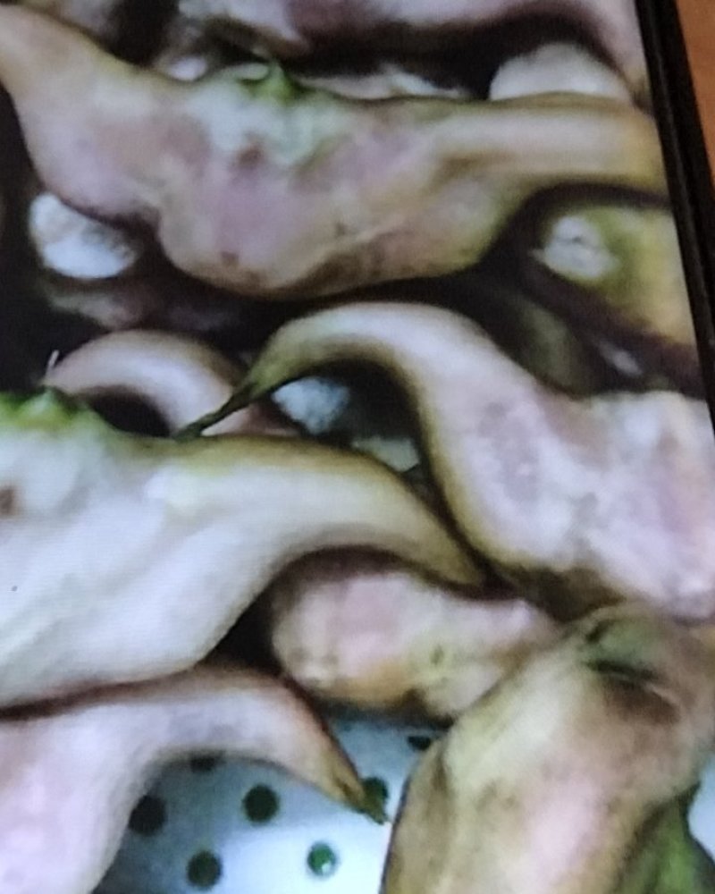 菱角