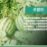 苯醚甲环唑40%杀菌剂草莓炭疽病白粉果树叶斑病锈病
