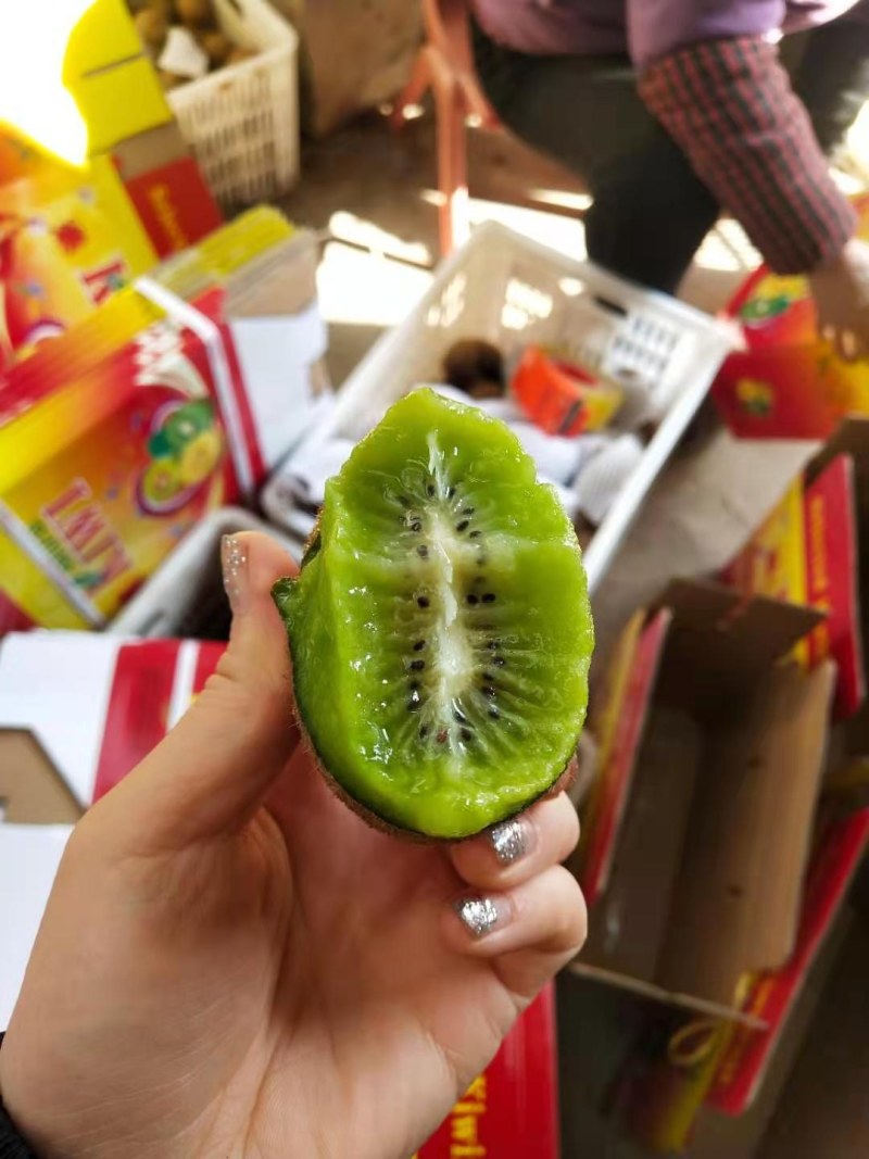 周至翠香猕猴桃，皮薄，肉质细腻，甜度好，产地直发。