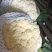 优质精品白面青梗松花菜一手货源。乳白色净菜