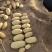 本人常年代办土豆有226，早大白，冀张暑，荷兰十五等各种