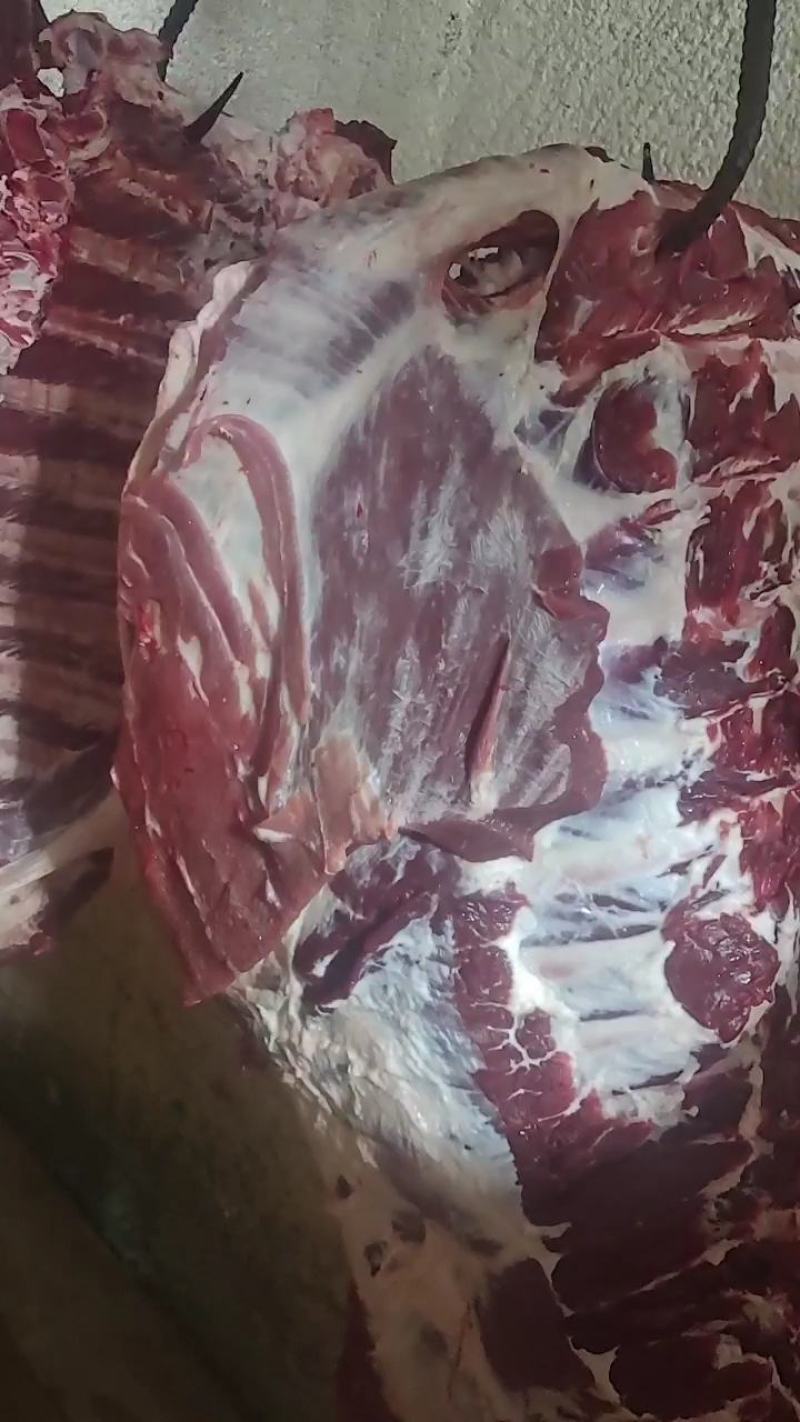 纯干多肉牛排