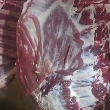 纯干多肉牛排