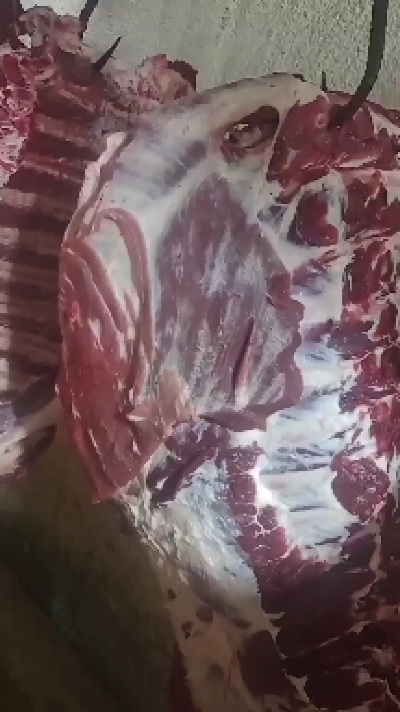 纯干多肉牛排