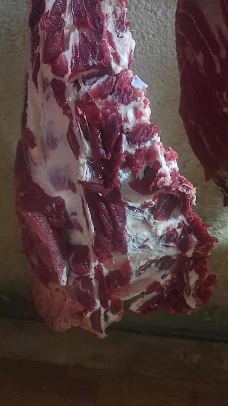 纯干多肉牛排