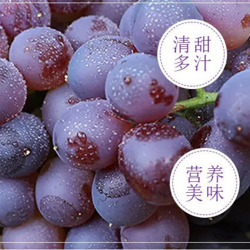 夏黑葡萄