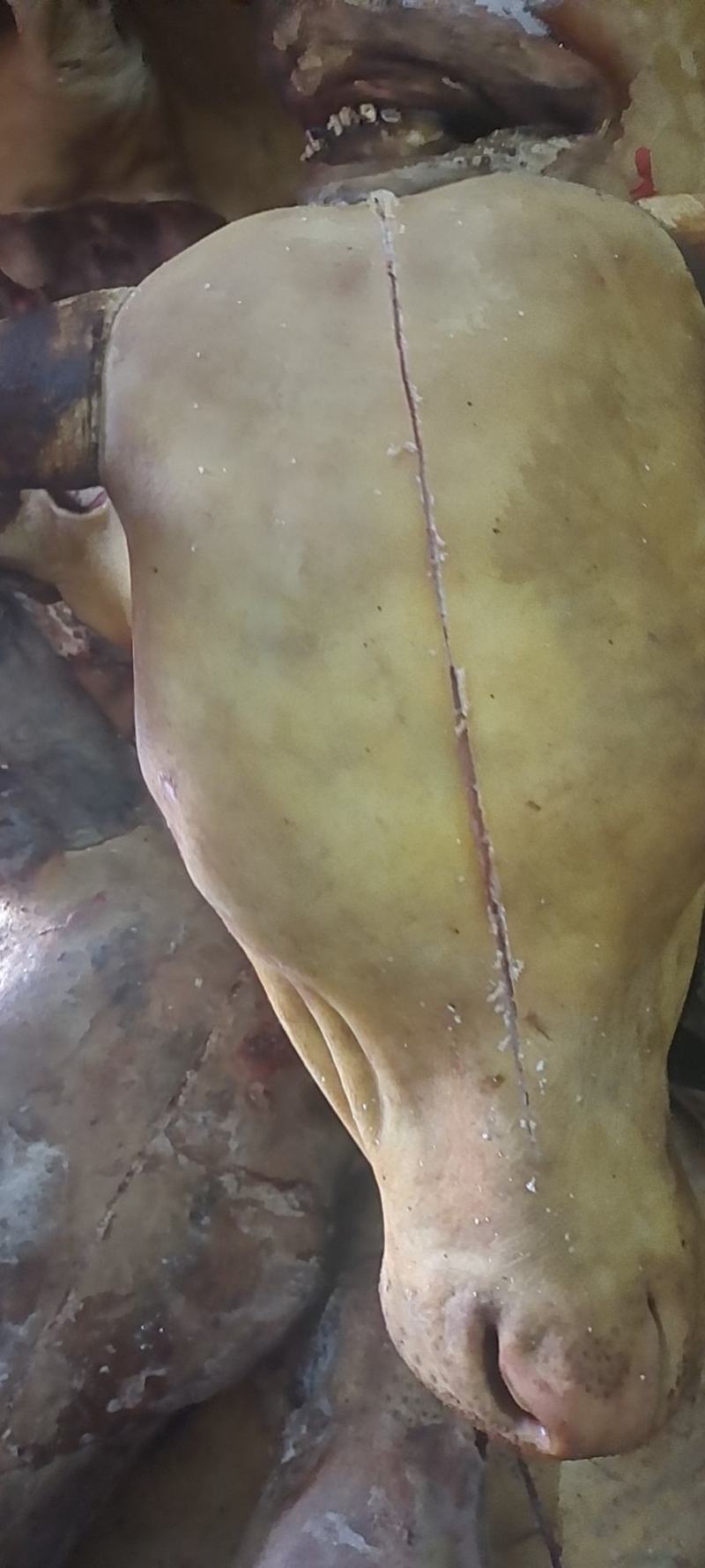 高端牛头，火烧毛牛头，厂家直供，长期有货