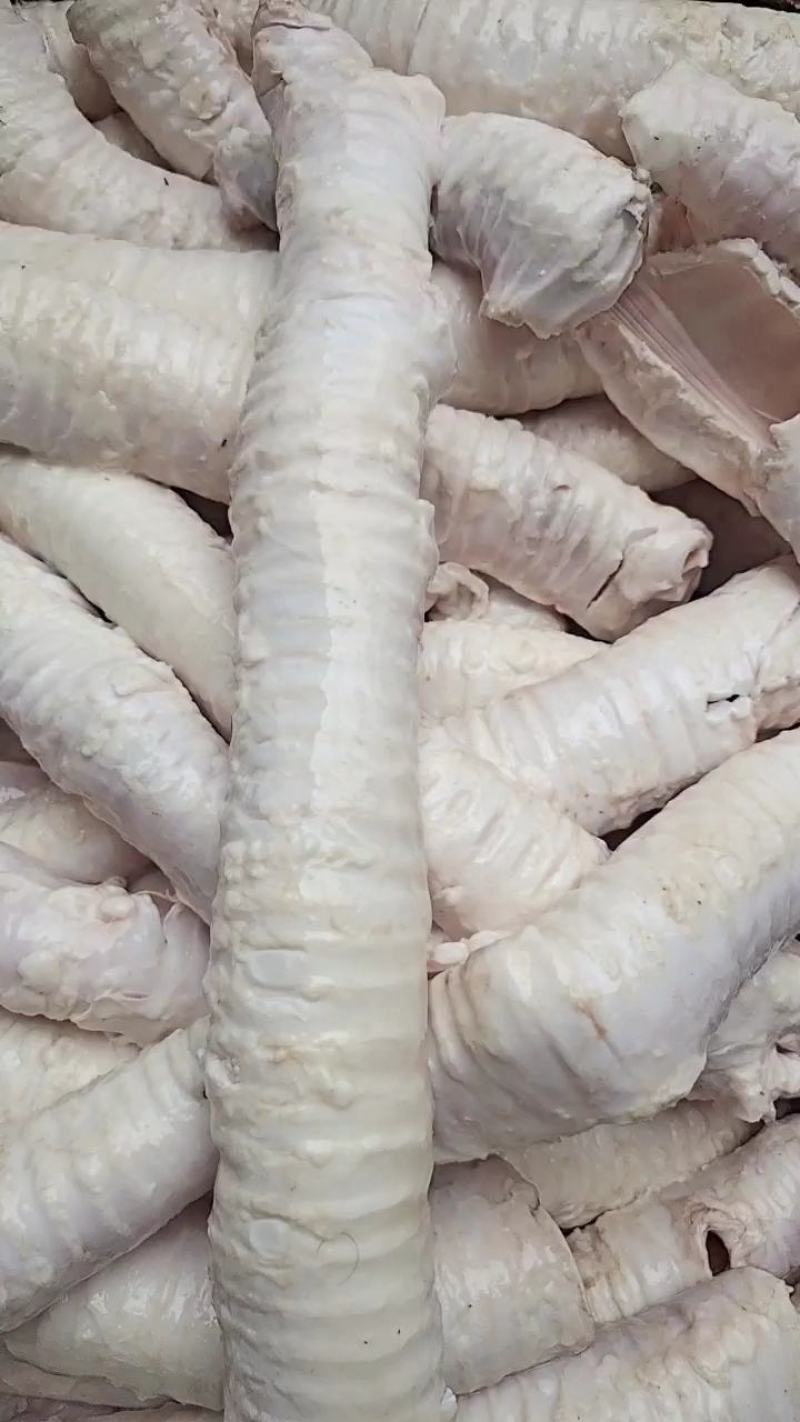 牛肺管，精修牛肺管，无油，质量好，大量批发