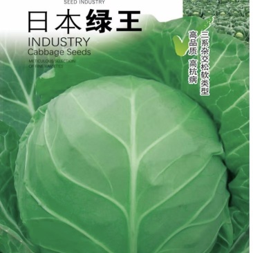 科优日本绿王甘蓝种子绿霸种子春秋品种颜色绿10克