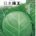 科优日本绿王甘蓝种子绿霸种子春秋品种颜色绿10克