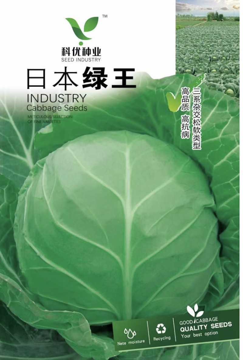 科优日本绿王甘蓝种子绿霸种子春秋品种颜色绿10克
