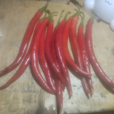 鲜红椒