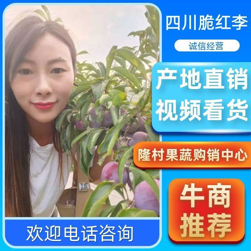 四川脆红李，大产地，量大时间长，口味不发苦，果肉不干心