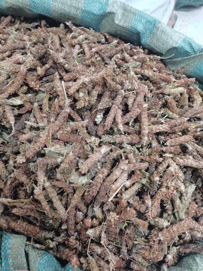 夏枯草夏枯草夏枯球今年新货新花中大
