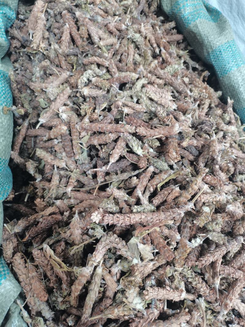 夏枯草夏枯草夏枯球今年新货新花中大