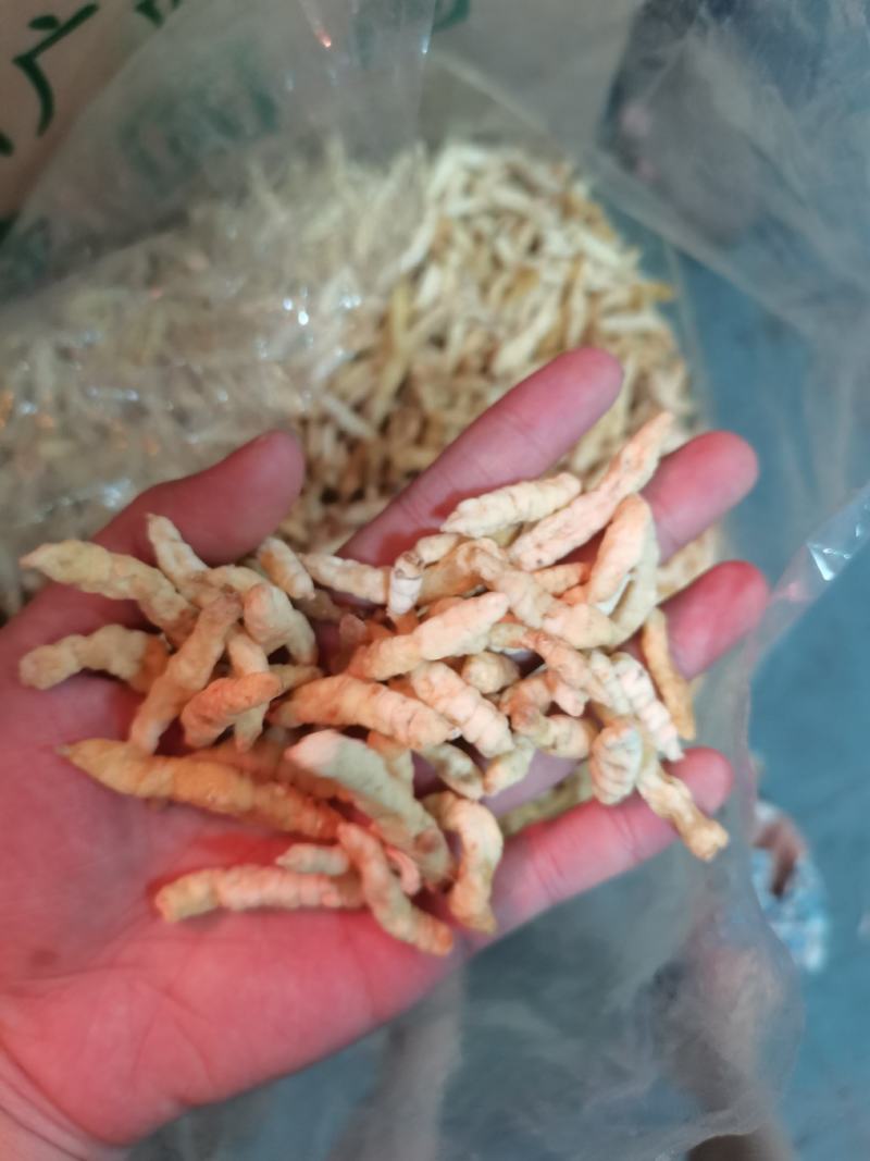 地蚕草石蚕