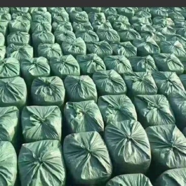 青储饲料