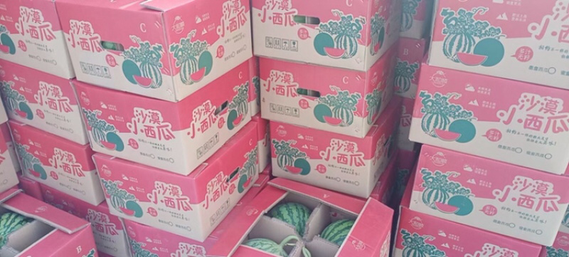 内蒙通辽地区西瓜园区小莫童小西瓜园瓜主产区