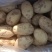 【精品推荐三优产品】陕北定边县纯沙地稀森6号