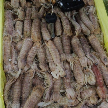 皮皮虾（熟冻）
