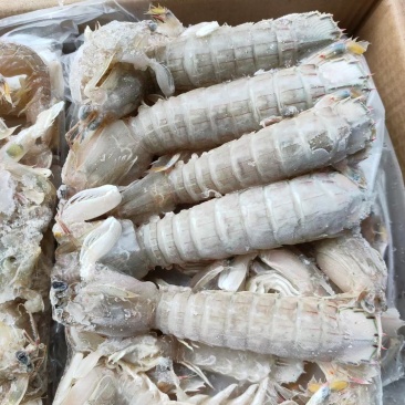 皮皮虾（生冻）