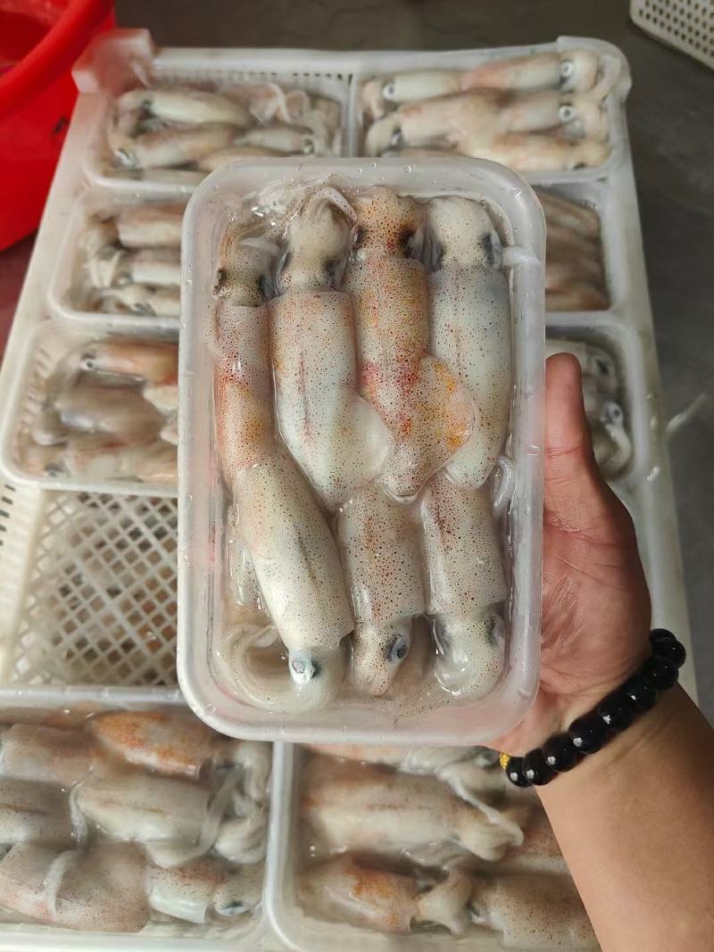 鱿鱼，硬皮小鱿鱼，软皮的也有，口感很好，质量保证，价格实