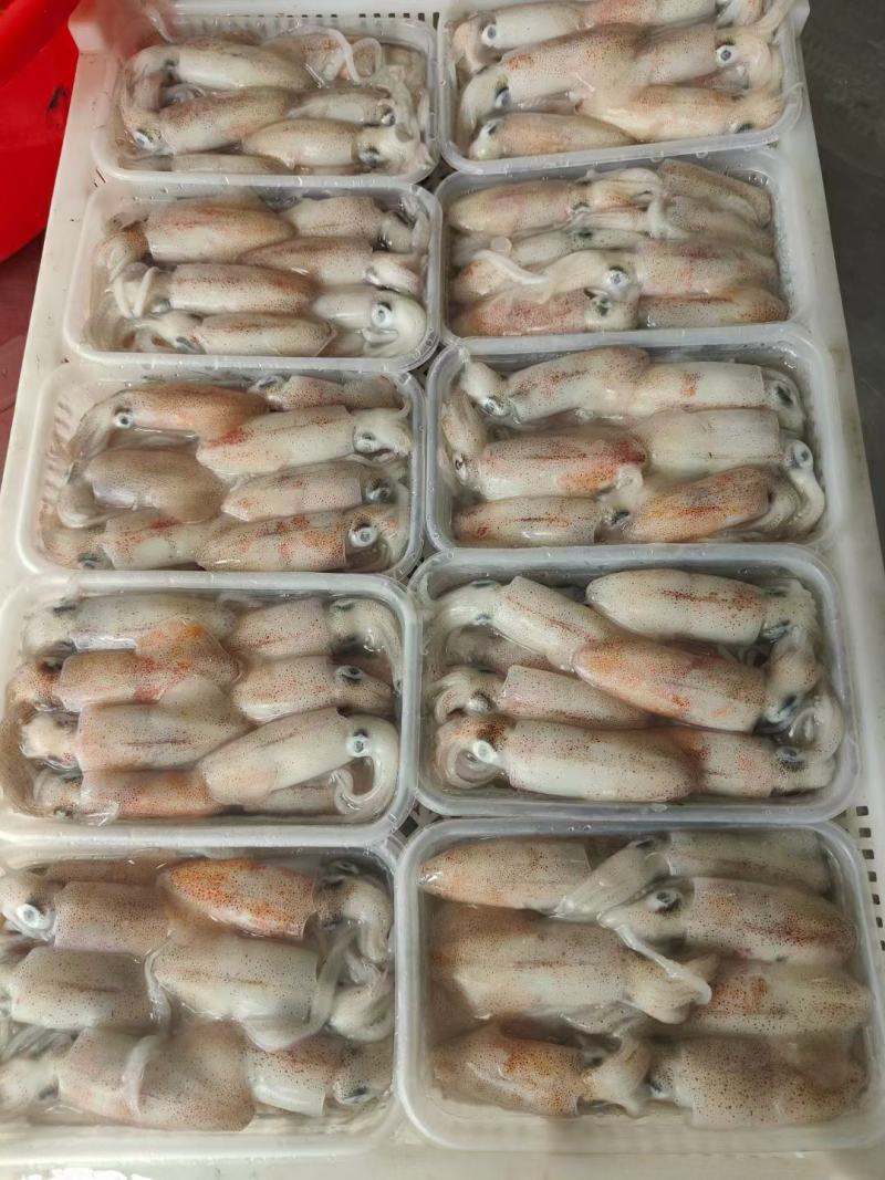 鱿鱼，硬皮小鱿鱼，软皮的也有，口感很好，质量保证，价格实