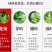 张家界罗塔坪霉茶