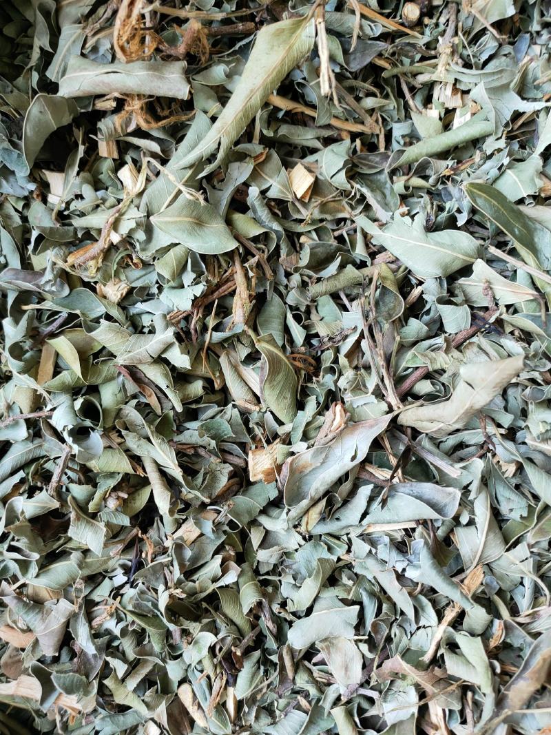 小叶榕（榕树叶）产地直供一手货源