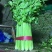 【大棚西芹】大棚芹菜价格优质量漂亮亮度好欢迎电联
