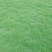钦州、马尼拉草、草块，草卷，场地直售，质量优良