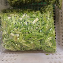 净菜芹菜段（大量供应食品厂，食堂餐厅）