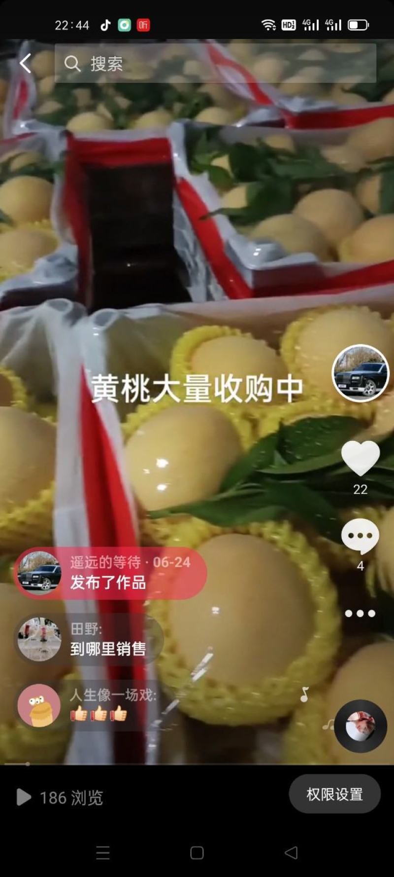 徐州丰县大沙河百果园水果基地，主营黄桃，黄金密，黄金刚，