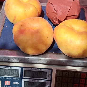 黄金蟠桃