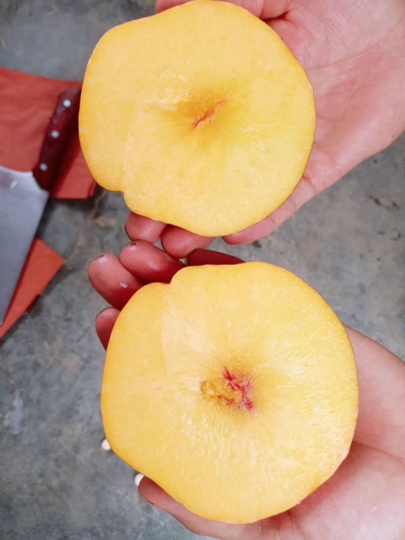 黄金蟠桃