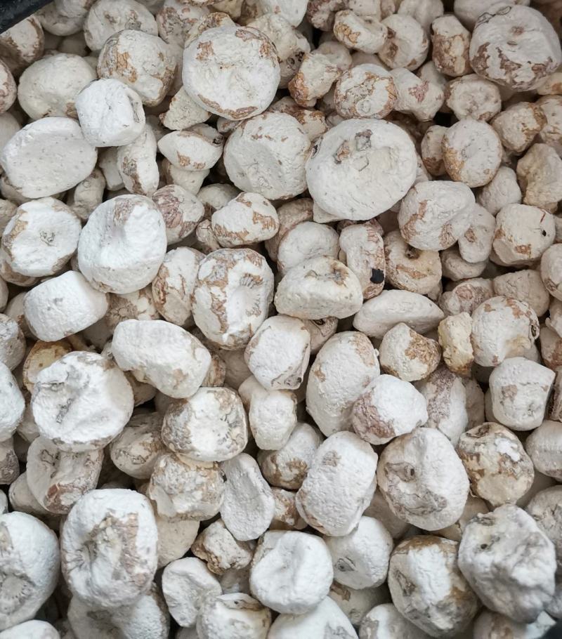 脱水珍珠马蹄，珍珠马蹄干，火锅煲汤炒菜用特产干货，菜干