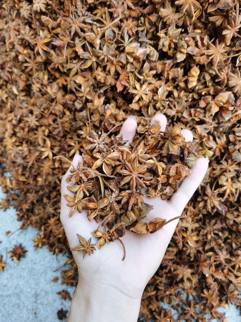 批发广西大红八角足干八角调味香料产地大货供应
