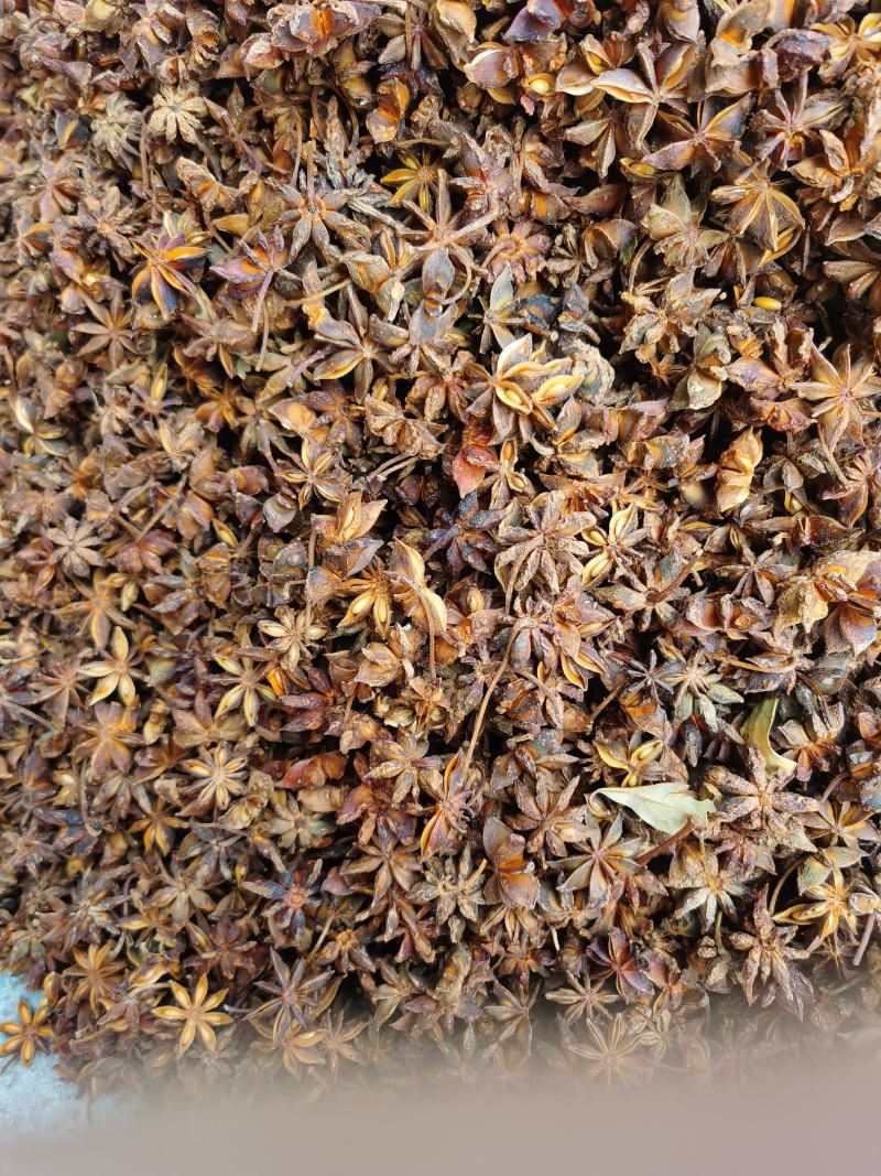 批发广西大红八角足干八角调味香料产地大货供应