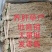 软肝草种植大户追求品质专注批发一年四季现挖现卖保持货新鲜