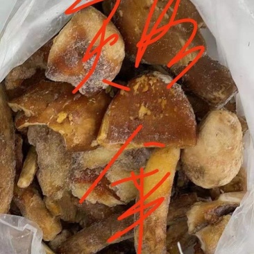 云南野生菌，黄落伞，冻货，昆明冻库，杂菌，欢迎来电咨询